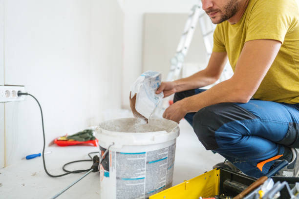 Best Mold Prevention Services  in Pine Valley, CA